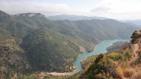 Priorat, Ribera d'Ebre i Terra Alta. Visita als municipis d'El Pinell de Brai, Miravet, la Morera de Montsant, Siurana, Porrera, Gratallops i Falset. Agost de 2014. Foto: Saül Gordillo