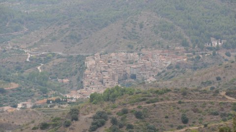 Priorat, Ribera d'Ebre i Terra Alta. Visita als municipis d'El Pinell de Brai, Miravet, la Morera de Montsant, Siurana, Porrera, Gratallops i Falset. Agost de 2014. Foto: Saül Gordillo