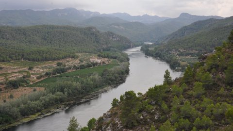 Priorat, Ribera d'Ebre i Terra Alta. Visita als municipis d'El Pinell de Brai, Miravet, la Morera de Montsant, Siurana, Porrera, Gratallops i Falset. Agost de 2014. Foto: Saül Gordillo