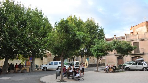 Priorat, Ribera d'Ebre i Terra Alta. Visita als municipis d'El Pinell de Brai, Miravet, la Morera de Montsant, Siurana, Porrera, Gratallops i Falset. Agost de 2014. Foto: Saül Gordillo