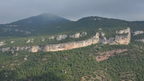 Priorat, Ribera d'Ebre i Terra Alta. Visita als municipis d'El Pinell de Brai, Miravet, la Morera de Montsant, Siurana, Porrera, Gratallops i Falset. Agost de 2014. Foto: Saül Gordillo