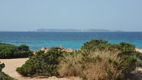 Mallorca i Cabrera. Agost de 2015. Foto: Saül Gordillo