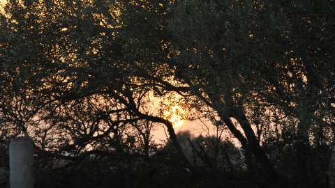 Mallorca i Cabrera. Agost de 2015. Foto: Saül Gordillo