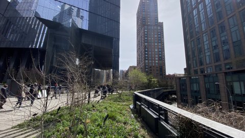 Nova York. New York. Manhattan. Setmana Santa. Fotos amb iPhone 11 Pro. 13-18 d’abril de 2022.