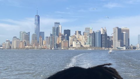 Nova York. New York. Manhattan. Setmana Santa. Fotos amb iPhone 11 Pro. 13-18 d’abril de 2022.