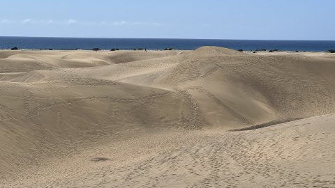 Gran Canaria. Dunes de Maspalomas. Fotos amb iPhone 13 Pro Max. 4-11 d’agost de 2022