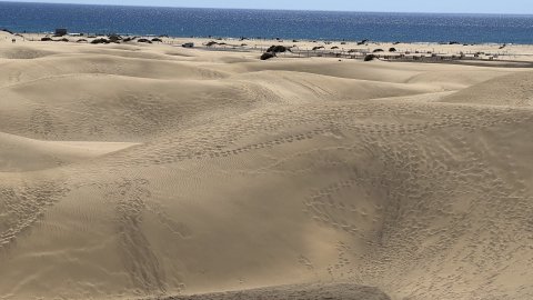 Gran Canaria. Dunes de Maspalomas. Fotos amb iPhone 13 Pro Max. 4-11 d’agost de 2022