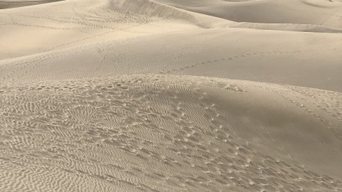 Gran Canaria. Dunes de Maspalomas. Fotos amb iPhone 13 Pro Max. 4-11 d’agost de 2022 