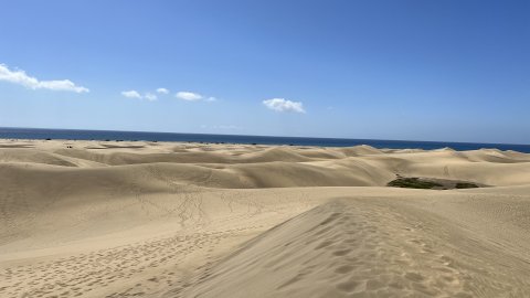 Gran Canaria. Dunes de Maspalomas. Fotos amb iPhone 13 Pro Max. 4-11 d’agost de 2022 