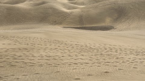 Gran Canaria. Dunes de Maspalomas. Fotos amb iPhone 13 Pro Max. 4-11 d’agost de 2022 