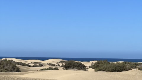 Gran Canaria. Dunes de Maspalomas. Fotos amb iPhone 13 Pro Max. 4-11 d’agost de 2022
