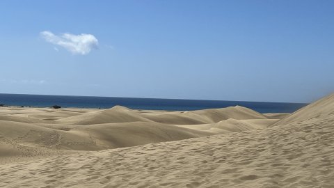 Gran Canaria. Dunes de Maspalomas. Fotos amb iPhone 13 Pro Max. 4-11 d’agost de 2022