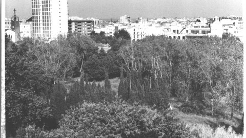 Terrenys de l'antic càmping La Granja, de Calella. 1990. Foto: Saül Gordillo (El Punt)