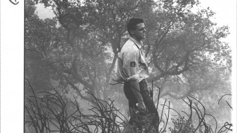 Incendis forestals. 1990. Foto: Saül Gordillo (El Punt)