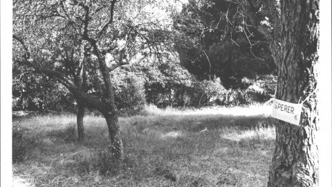 Càmping La Granja, de Calella, just abans de la seva urbanització. 1990. Foto: Saül Gordillo (El Punt)