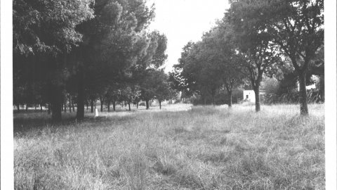 Càmping La Granja, de Calella, just abans de la seva urbanització. 1990. Foto: Saül Gordillo (El Punt)