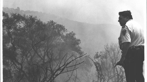 Incendi forestal a Pineda de Mar. Un agent de la Policia Local, Josep Vila Delpuig, observa un bosc cremat a Pineda de Mar. 1990. Foto: Saül Gordillo (El Punt) 