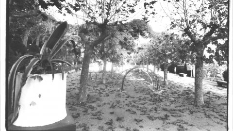 Parc Dalmau de Calella. 2 de desembre de 1993. Foto: Saül Gordillo (El Punt)