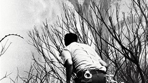 Incendi forestal a Pineda de Mar. Un agent de la Guàrdia Civil intentar aturar el foc a Pineda de Mar. 1990. Foto: Saül Gordillo (El Punt) 