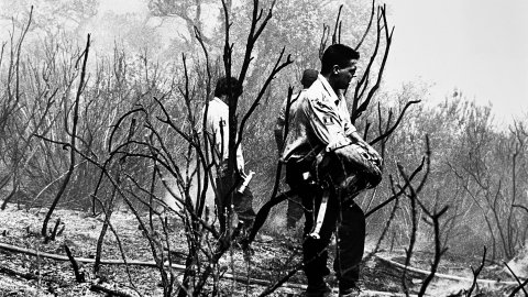Incendi forestal a Pineda de Mar. Un agent de la Guàrdia Civil intentar aturar el foc a Pineda de Mar. 1990. Foto: Saül Gordillo (El Punt) 