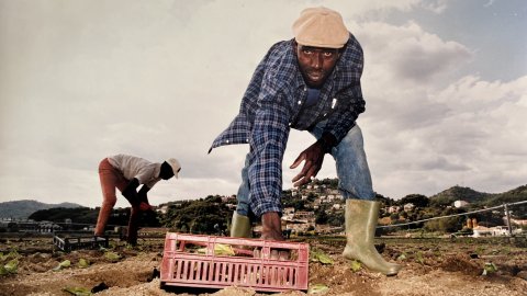 Un ciutadà d'origen africà treballa els camps entre Malgrat de Mar i Santa Susanna, amb la zona hotelera al seu darrere. Revista Repòrter de l'Alt Maresme. Anys 90. Foto: Saül Gordillo (Repòrter)
