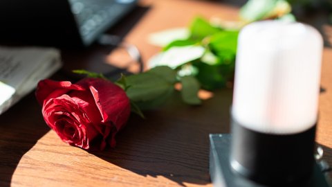 Programa especial d'El matí de Catalunya Ràdio, Popap, Catalunya migdia i Estat de Gràcia per Sant Jordi, el primer amb una relativa normalitat després de la pandèmia, en el marc de la campanya Impulsem cultura, a Casa Seat. Barcelona. 23 d'abril de 2021