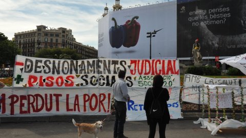 Moviment 15-M a la plaça Catalunya. Barcelona. 19 de maig de 2011