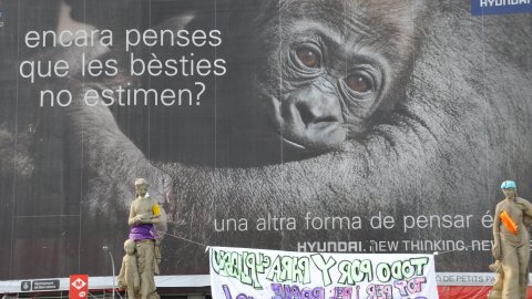 Moviment 15-M a la plaça Catalunya. Barcelona. 19 de maig de 2011