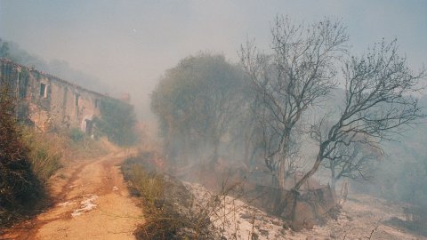 Incendi forestal a Calella l'estiu de 1994. Extinció a càrrec dels bombers del parc de Pineda de Mar, de l'Alt Maresme, amb suport aeri d'helicòpters i per terra d'agents forestals. Parc Natural del Montnegre-Corredor. Calella