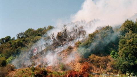 Incendi forestal a Calella l'estiu de 1994. Extinció a càrrec dels bombers del parc de Pineda de Mar, de l'Alt Maresme, amb suport aeri d'helicòpters i per terra d'agents forestals. Parc Natural del Montnegre-Corredor. Calella