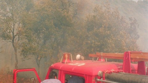 Incendi forestal a Calella l'estiu de 1994. Extinció a càrrec dels bombers del parc de Pineda de Mar, de l'Alt Maresme, amb suport aeri d'helicòpters i per terra d'agents forestals. Parc Natural del Montnegre-Corredor. Calella