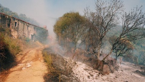 Incendi forestal a Calella l'estiu de 1994. Extinció a càrrec dels bombers del parc de Pineda de Mar, de l'Alt Maresme, amb suport aeri d'helicòpters i per terra d'agents forestals. Parc Natural del Montnegre-Corredor. Calella