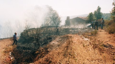 Incendi forestal a Calella l'estiu de 1994. Extinció a càrrec dels bombers del parc de Pineda de Mar, de l'Alt Maresme, amb suport aeri d'helicòpters i per terra d'agents forestals. Parc Natural del Montnegre-Corredor. Calella