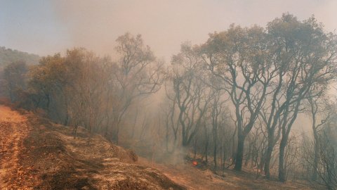 Incendi forestal a Calella l'estiu de 1994. Extinció a càrrec dels bombers del parc de Pineda de Mar, de l'Alt Maresme, amb suport aeri d'helicòpters i per terra d'agents forestals. Parc Natural del Montnegre-Corredor. Calella