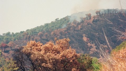 Incendi forestal a Calella l'estiu de 1994. Extinció a càrrec dels bombers del parc de Pineda de Mar, de l'Alt Maresme, amb suport aeri d'helicòpters i per terra d'agents forestals. Parc Natural del Montnegre-Corredor. Calella