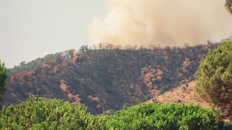 Incendi forestal a Calella l'estiu de 1994. Extinció a càrrec dels bombers del parc de Pineda de Mar, de l'Alt Maresme, amb suport aeri d'helicòpters i per terra d'agents forestals. Parc Natural del Montnegre-Corredor. Calella