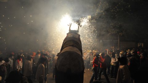 Les Santes. Desvetllament bellugós. Nit Boja. Mataró. 26 de juliol de 2010