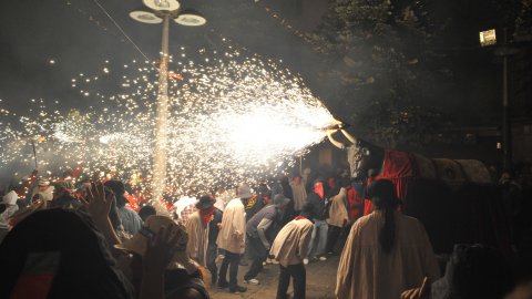 Les Santes. Desvetllament bellugós. Nit Boja. Mataró. 26 de juliol de 2010