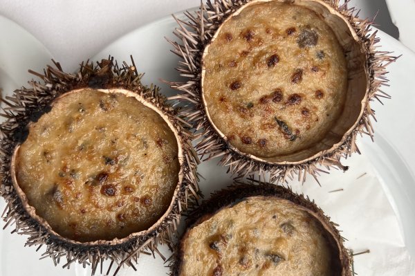 Erizos de mar gratinados